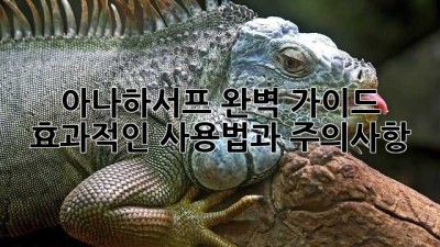 아나하서프 완벽 가이드: 효과적인 사용법과 주의사항