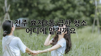 전주 효자3동 급한 청소, 어디에 맡길까요?