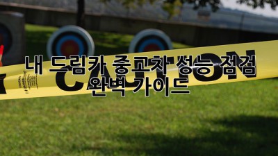 내 드림카, 중고차 성능 점검 완벽 가이드 🚗🛠️