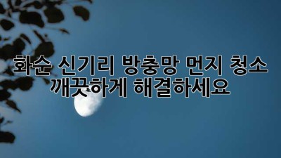 화순 신기리 방충망 먼지 청소, 깨끗하게 해결하세요! ✨
